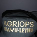 Agriops iHawu-lethu cap